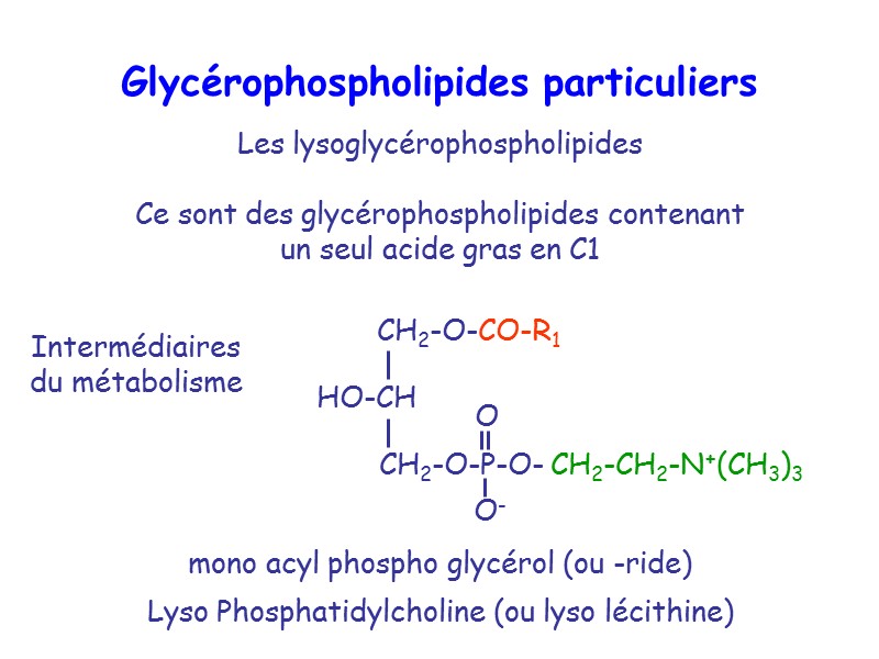 Les lysoglycérophospholipides   Ce sont des glycérophospholipides contenant un seul acide gras en